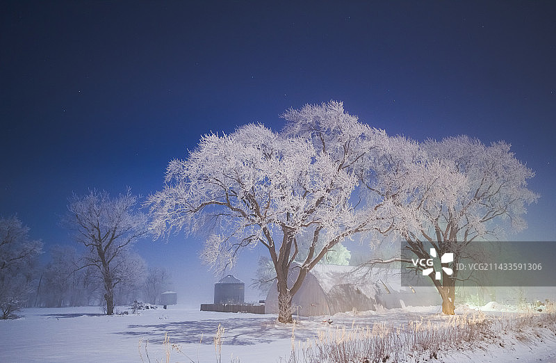 月光下的霜冻图片素材