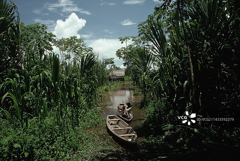停泊在亚马逊河上的独木舟图片素材