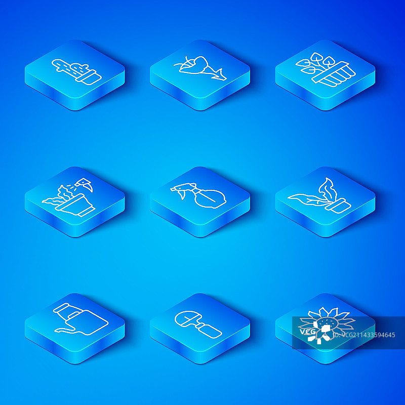 浇水壶、喷雾瓶、铲子和植物图片素材