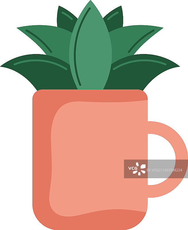 粉色杯子中的室内植物图片素材