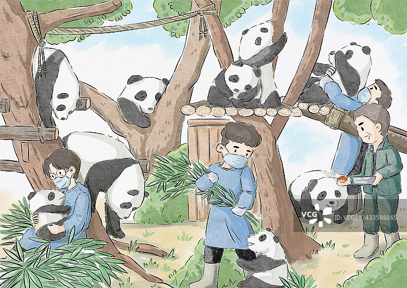 水彩插画-熊猫乐园图片素材