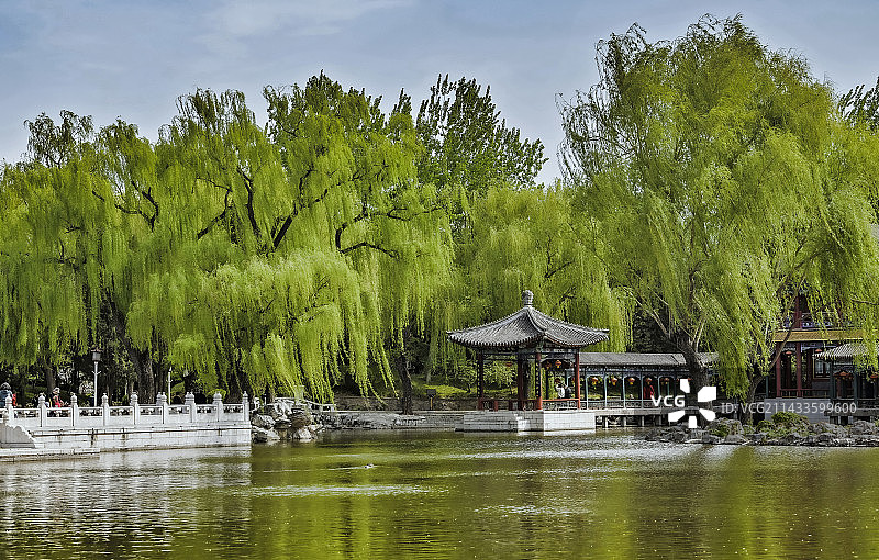 大观园，春天图片素材