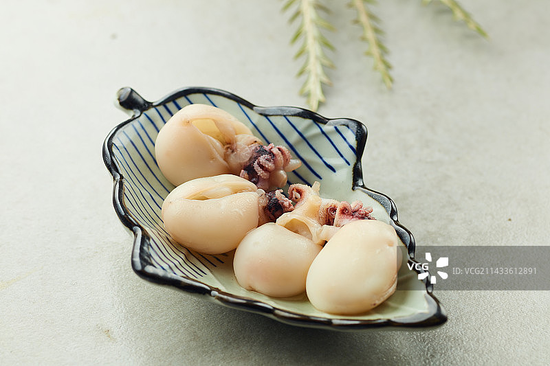 墨鱼仔墨斗鱼图片素材