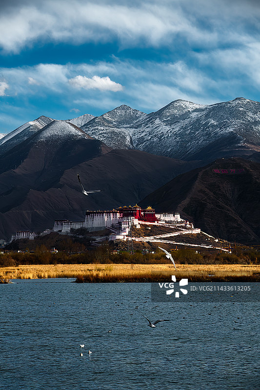 布达拉宫2图片素材