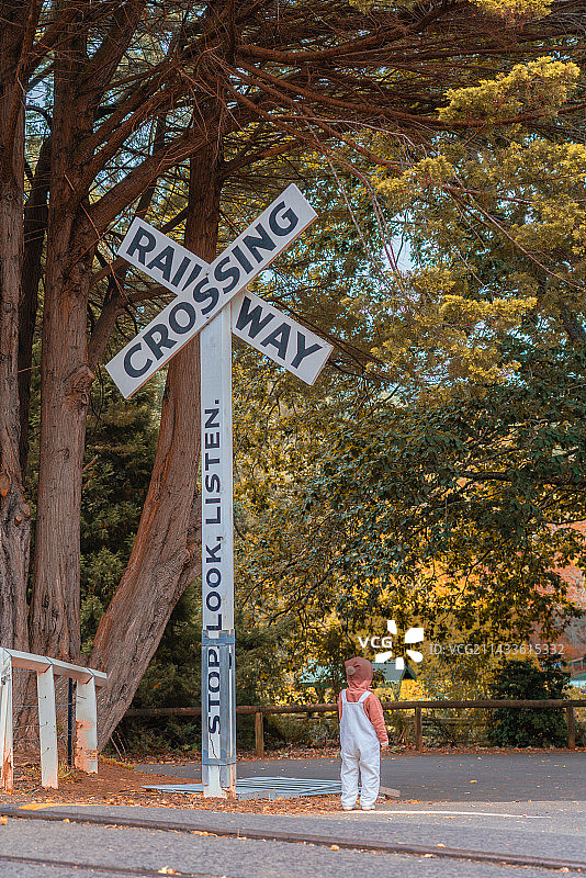 金色的栗子树下交通标识旁的穿风衣男孩图片素材