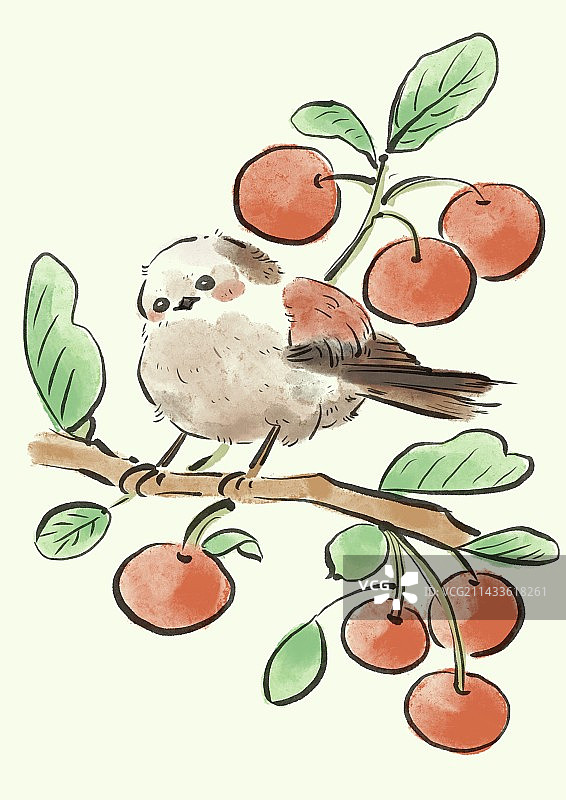 保护可爱小鸟图片素材