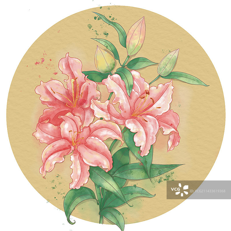 水彩百合图片素材