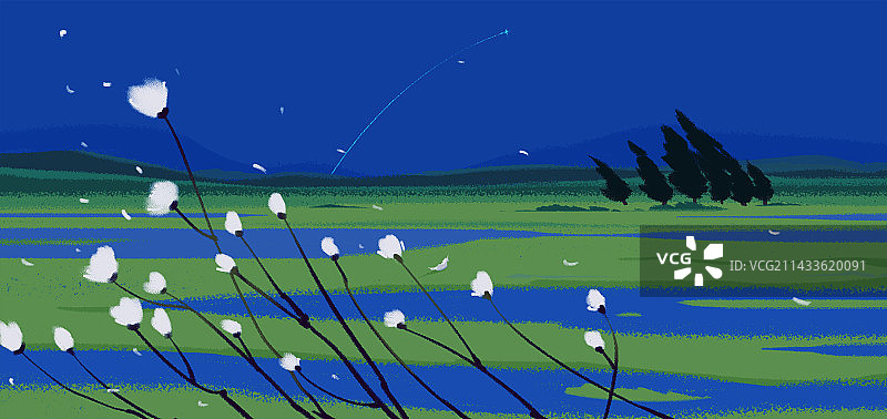 夜晚蓝天下的湿地景观图片素材