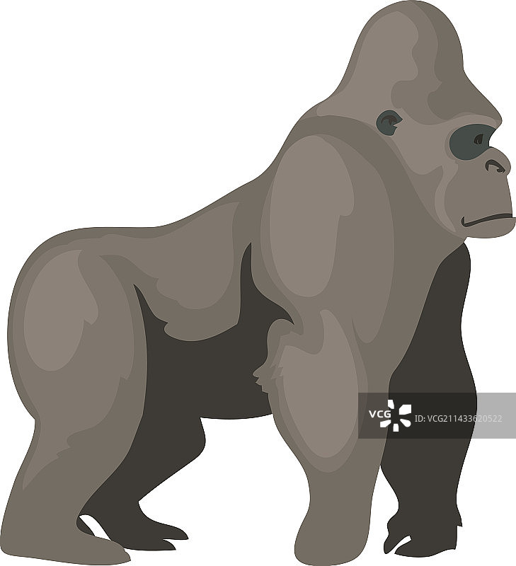 狂野大猩猩设计图片素材