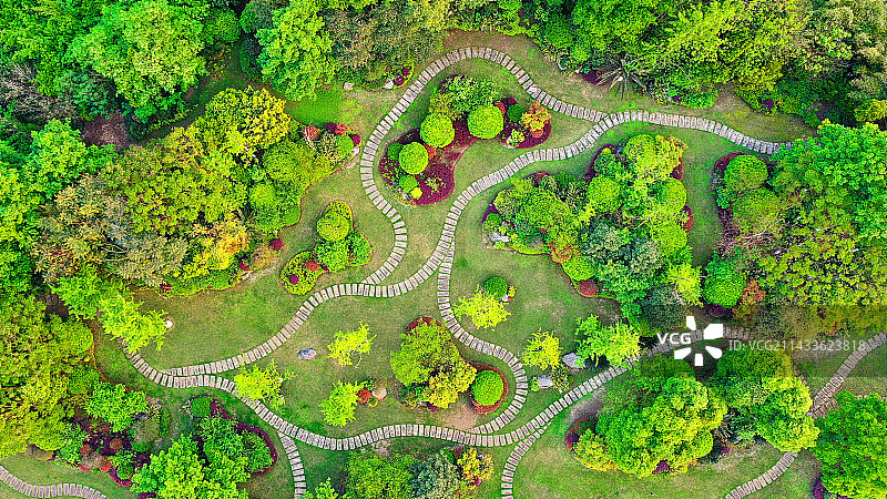 春天园林添新绿图片素材