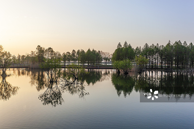 太湖湿地公园美景图片素材