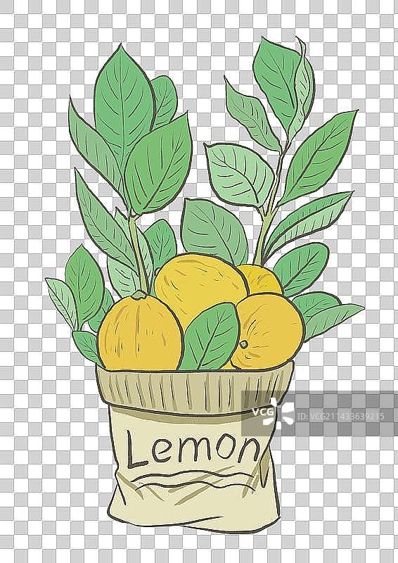 柠檬图片素材