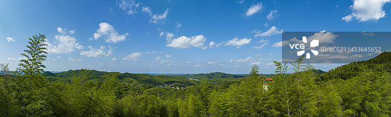 中国 湖南 益阳 桃花江竹海图片素材