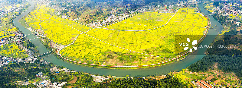 贵州音寨油菜花海图片素材