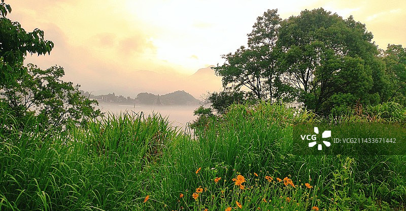 雨季，午后图片素材