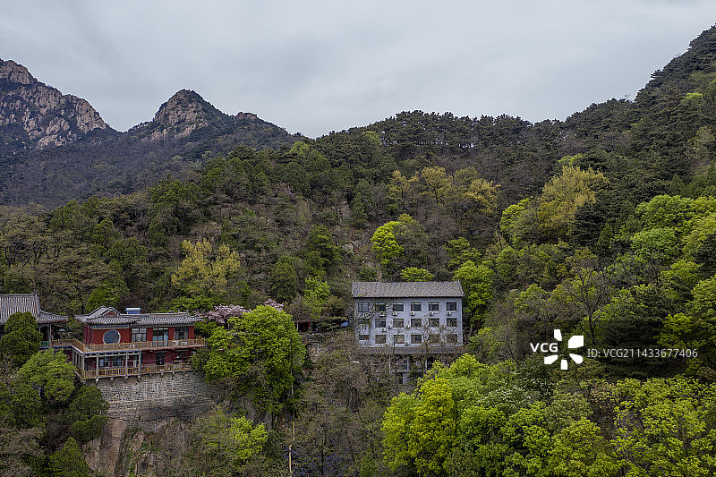 泰山中天门春意正浓图片素材