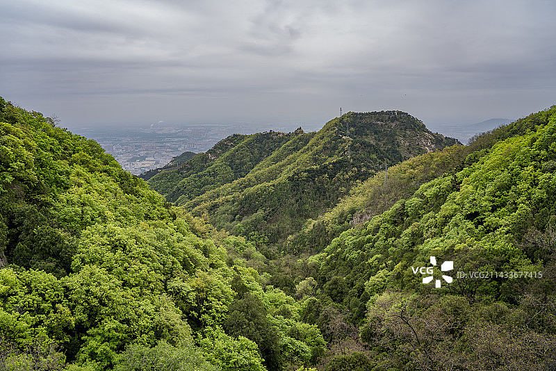 泰山中天门春意正浓图片素材