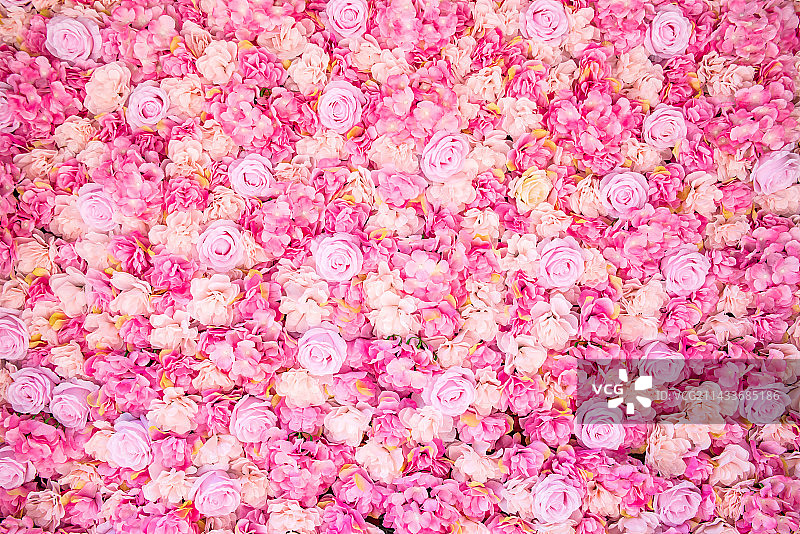 浪漫粉红花墙背景素材图片素材