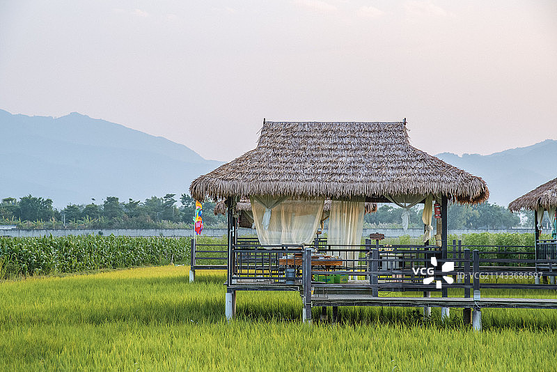 稻田餐厅图片素材
