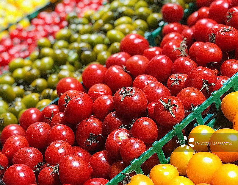 彩色小番茄图片素材