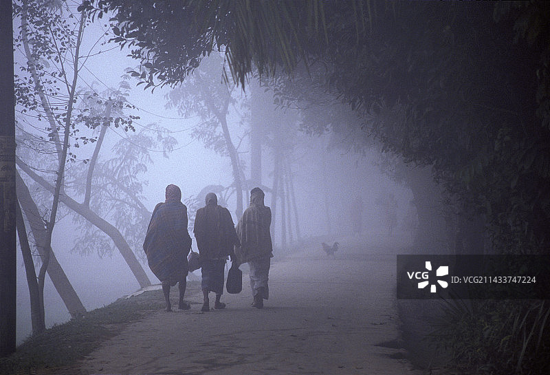 孟加拉国妇女图片素材