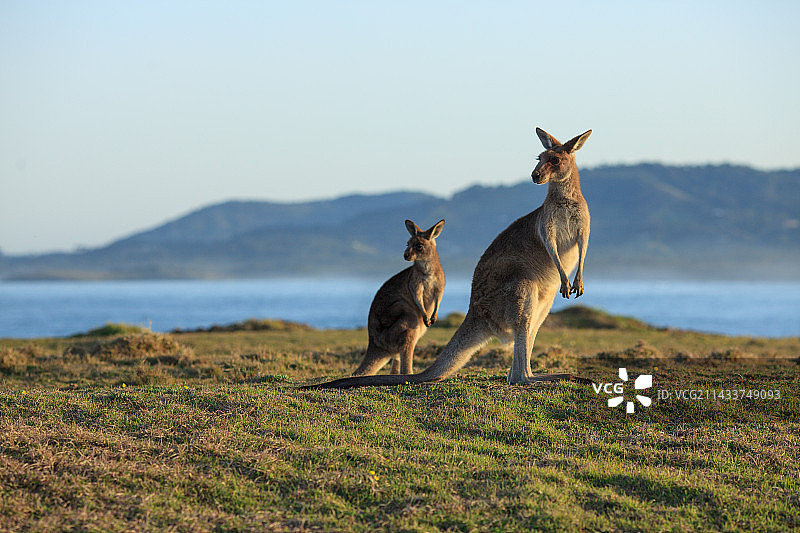 新南威尔士州图片素材