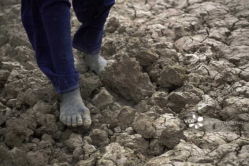 游牧民族在干旱龟裂的土地上行走图片素材