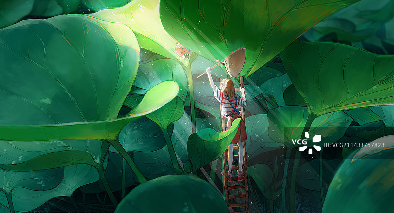 女孩在红薯叶丛林中捕七星瓢虫图片素材