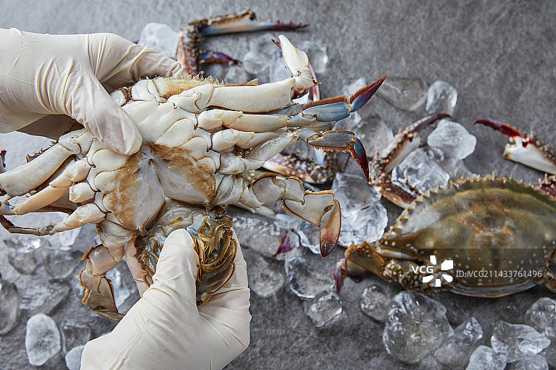 蓝蟹，时令食品，海鲜，甲壳类，新鲜食材，螃蟹菜肴，蟹酱，烹饪佳肴图片素材