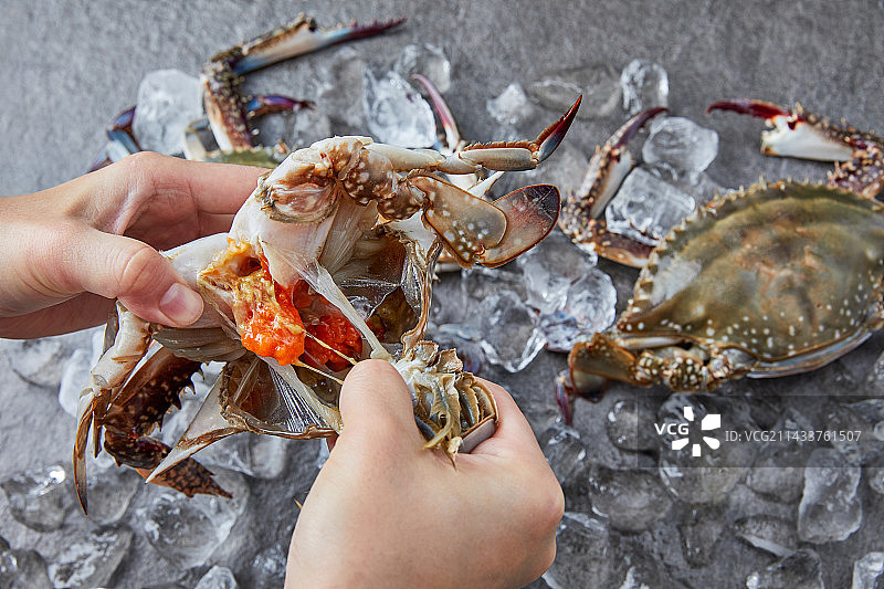 蓝蟹，时令食品，海鲜，甲壳类，新鲜食材，螃蟹菜肴，蟹酱，烹饪佳肴图片素材