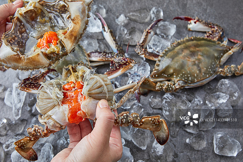 蓝蟹，时令食品，海鲜，甲壳类，新鲜食材，螃蟹菜肴，蟹酱，烹饪佳肴图片素材
