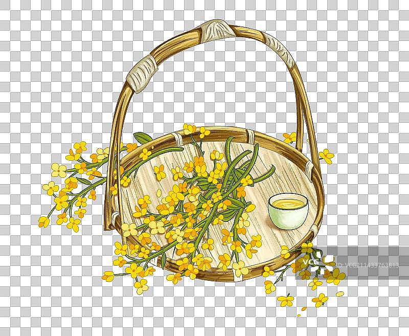 春天竹篮油菜花图片素材