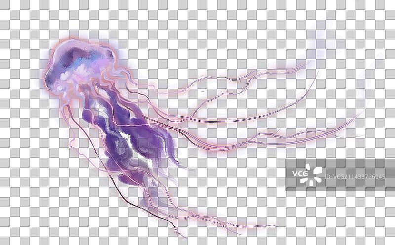 水母 水彩插画图片素材
