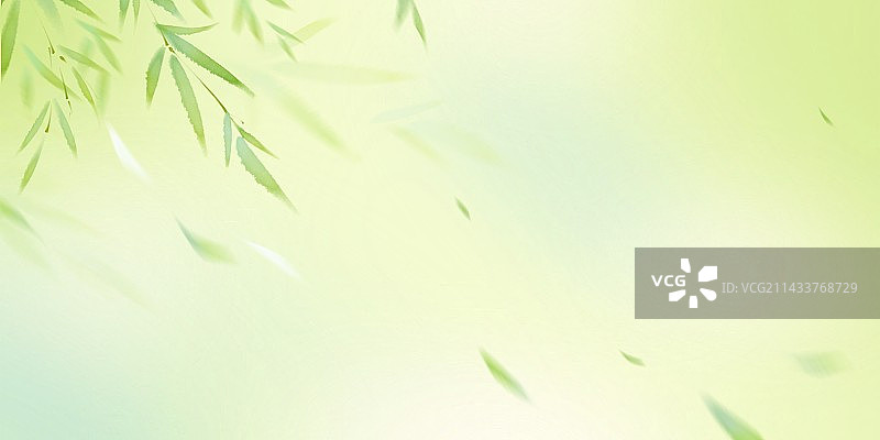 手绘清新绿色竹子竹林竹叶背景图片素材