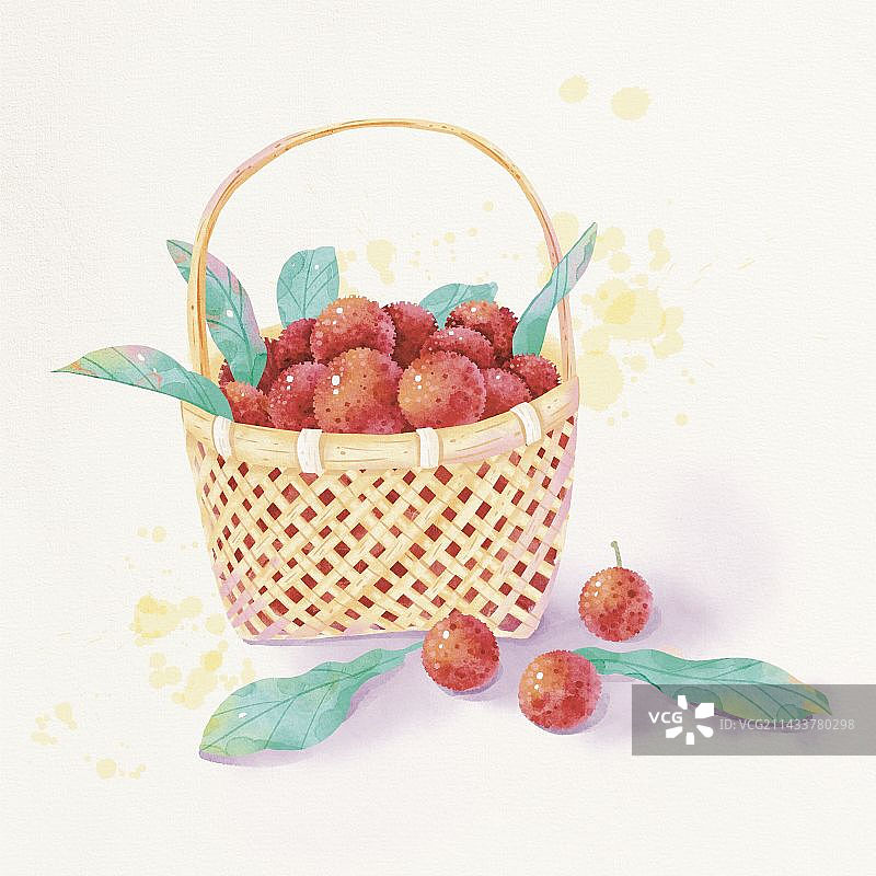 procreate仿水彩水果杨梅插画图片素材