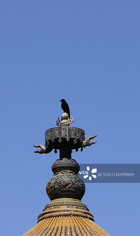 一只乌鸦站在塔尖图片素材