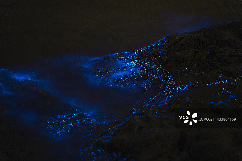 荧光海图片素材