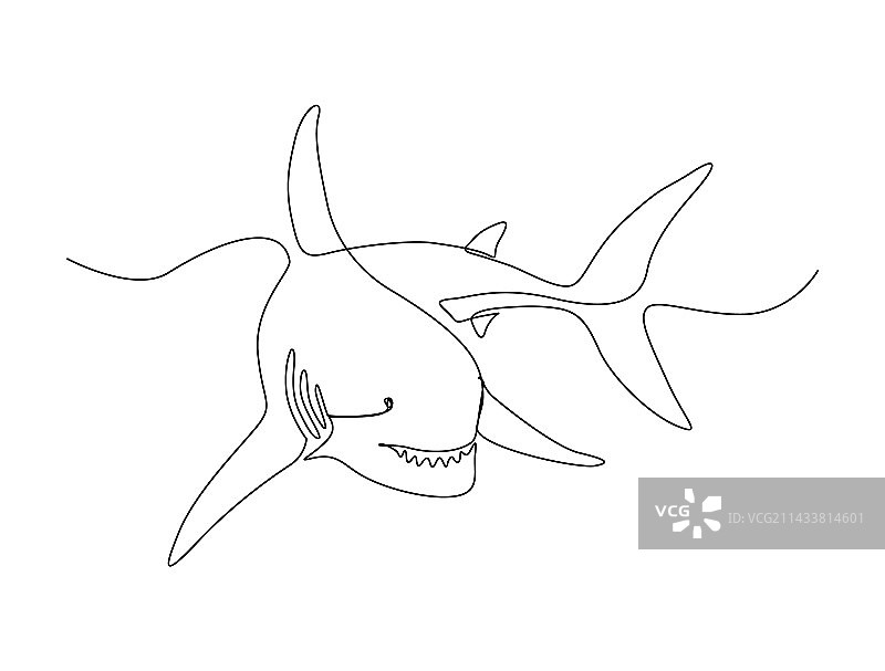 鲨鱼连续单线画图片素材