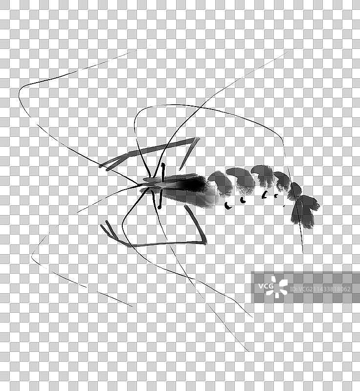 虾，齐白石熊猫中国风水墨插画设计元素图片素材