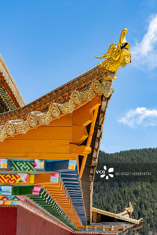 藏族寺庙尕米寺的金色屋檐和神兽图片素材