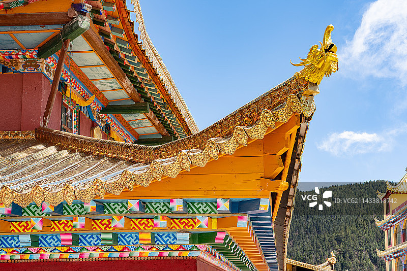 藏族寺庙尕米寺的金色屋檐和神兽图片素材