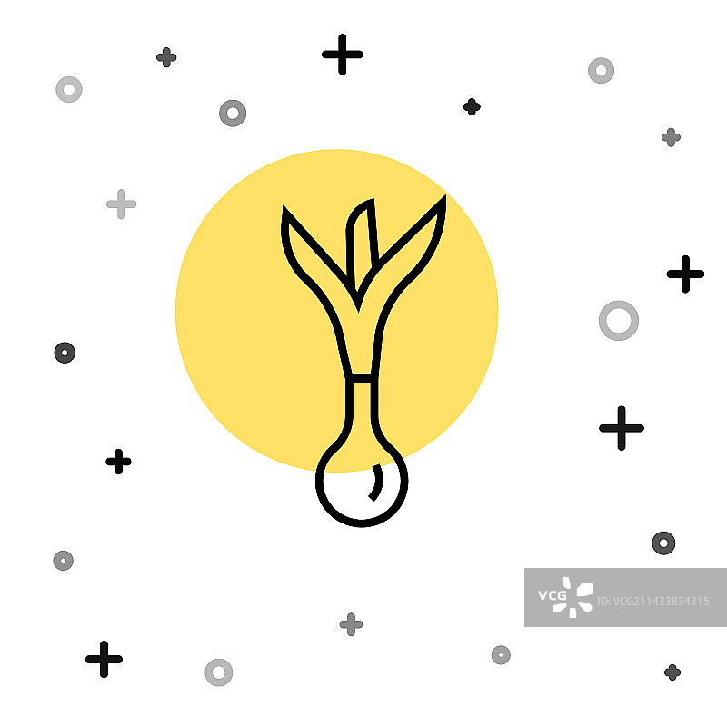 白色背景上的黑色线条洋葱图标图片素材