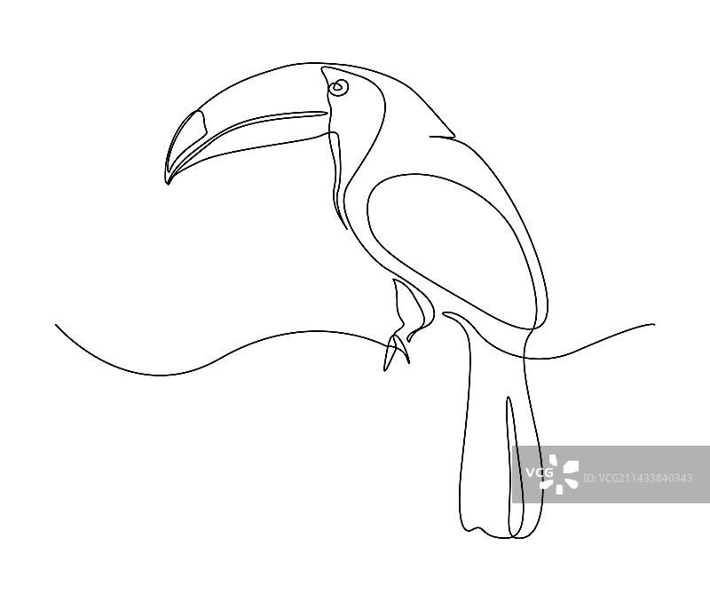 巨嘴鸟连续单线画图片素材