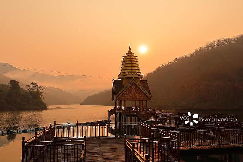 西双版纳望天树图片素材