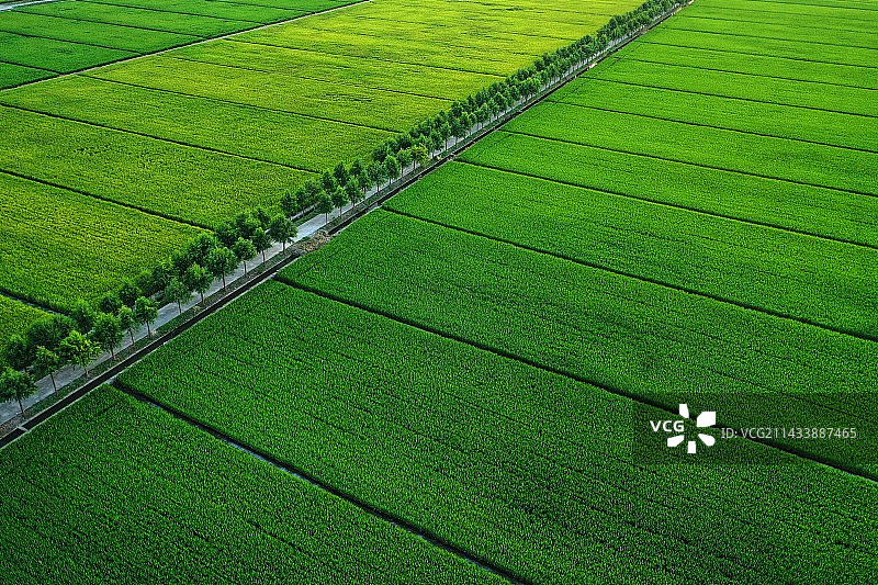 农业领域的高角度视角图片素材