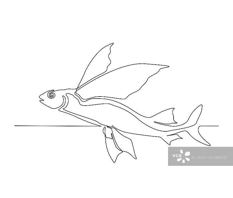 飞鱼连续单线画图片素材
