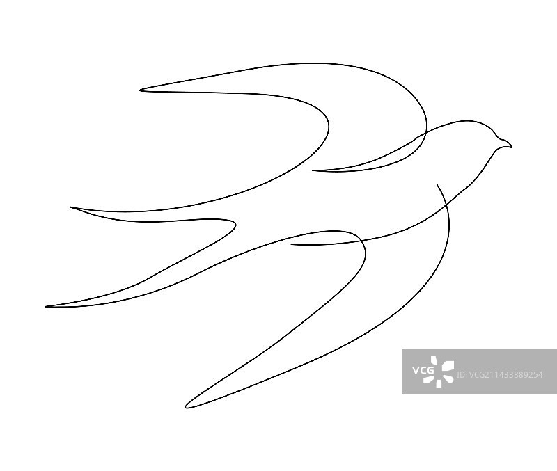 飞翔的燕子连续单线画图片素材