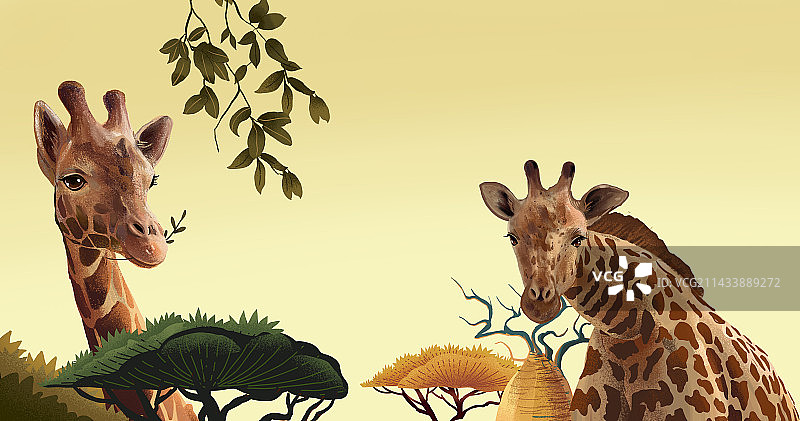 长颈鹿图片素材