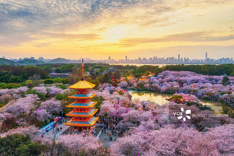 湖北省武汉市东湖磨山樱园（东湖樱花园）五重塔春天日落晚霞户外航拍图片素材
