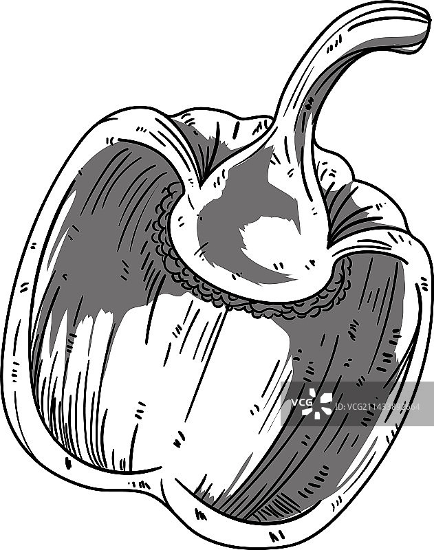 白色背景上的辣椒图片素材